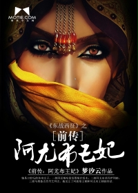 阿尤布王妃章节列表