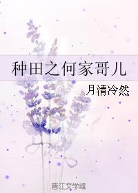 种田之何家哥儿章节列表