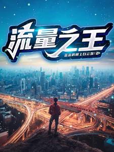 流量之王章节列表