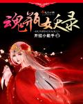 魂瓶妖录章节列表