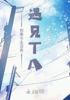 如果今生没有遇见TA章节列表