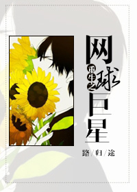 重生之网球巨星章节列表