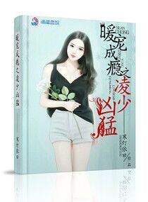 暖宠成瘾之凌少凶猛章节列表