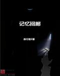 记忆回廊章节列表