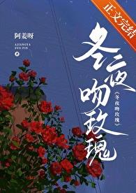冬夜吻玫瑰章节列表