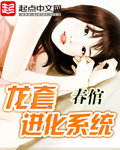 龙套进化系统章节列表