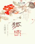 狐图章节列表