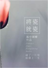 将瓷就瓷章节列表
