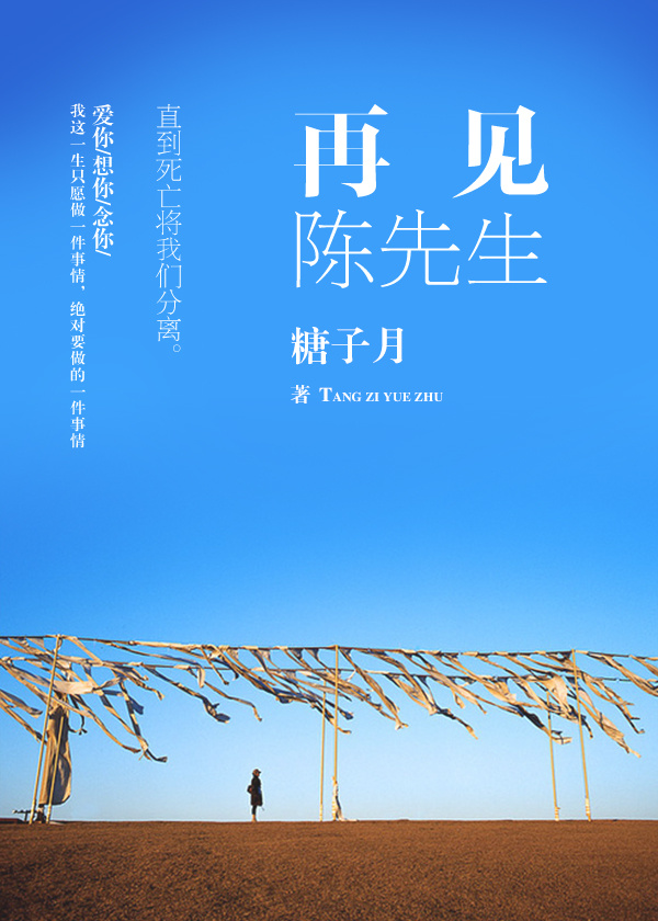 再见陈先生章节列表