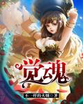 觉魂章节列表