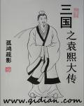 三国之袁熙大传章节列表