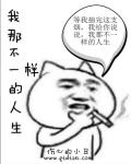 我那不一样的一生章节列表
