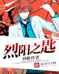 烈阳之匙章节列表