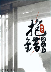 最后一个盗墓高手章节列表