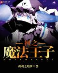 枫之魔法王子章节列表