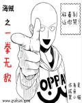 海贼之一拳无敌章节列表