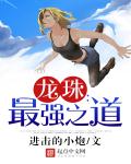 龙珠：最强之道章节列表