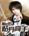 警花的贴身高手章节列表