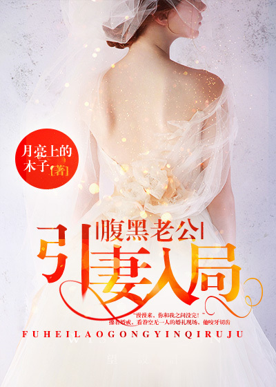 腹黑老公引妻入局章节列表