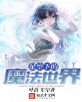星空下的魔法世界章节列表