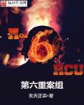 第六重案组章节列表