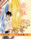 金桂记章节列表