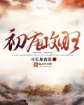 初唐攻略章节列表