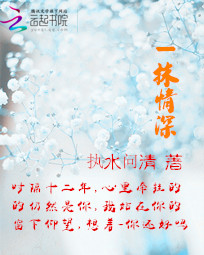 一抹情深章节列表