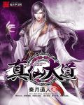 真仙大道章节列表