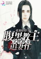 金牌财妻：腹黑教主追妻忙章节列表