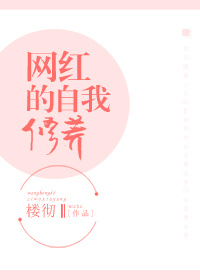 网红的自我修养章节列表