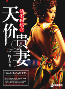 钻石闪婚之天价贵妻章节列表