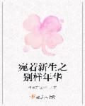 宛若新生之别样年华章节列表