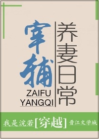 宰辅养妻日常章节列表