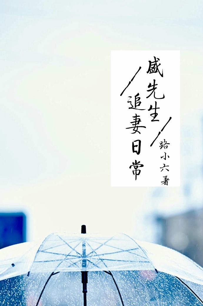 盛先生追妻日常章节列表