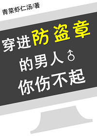 穿进防盗章的男人你伤不起章节列表