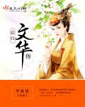 后宫文华传章节列表