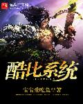 酷比系统章节列表