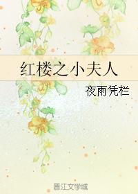 红楼之小夫人章节列表
