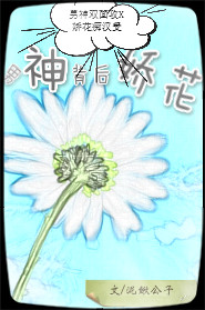 男神背后的娇花章节列表