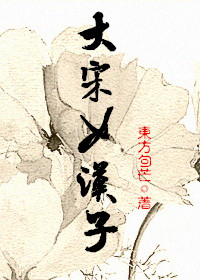 大宋女汉子章节列表