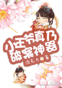 小王爷真乃破案神器章节列表