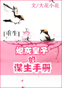 炮灰皇子的谋生手册章节列表
