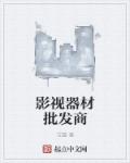 影视器材批发商章节列表