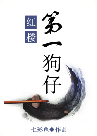 红楼第一狗仔章节列表