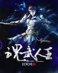 魂武人王章节列表