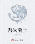 吾为骑士章节列表