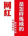 网红是怎样炼成的章节列表