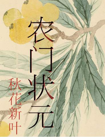 农门状元章节列表