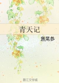 青天记章节列表